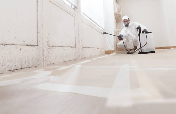 24/7 Emergency Attic Mold Removal experts in Higgins Lake, MI